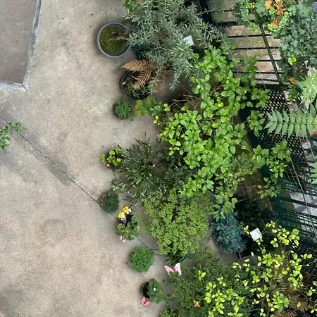 Beautiful Nearby Champs Elysees Appartement